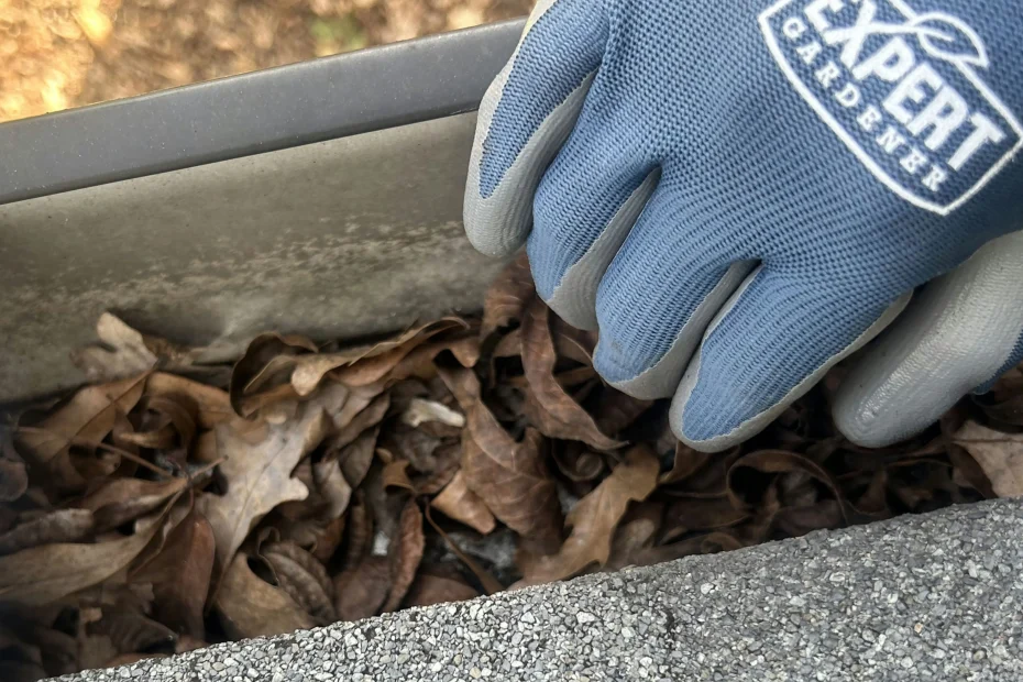 Gutter Cleaning Sanford FL