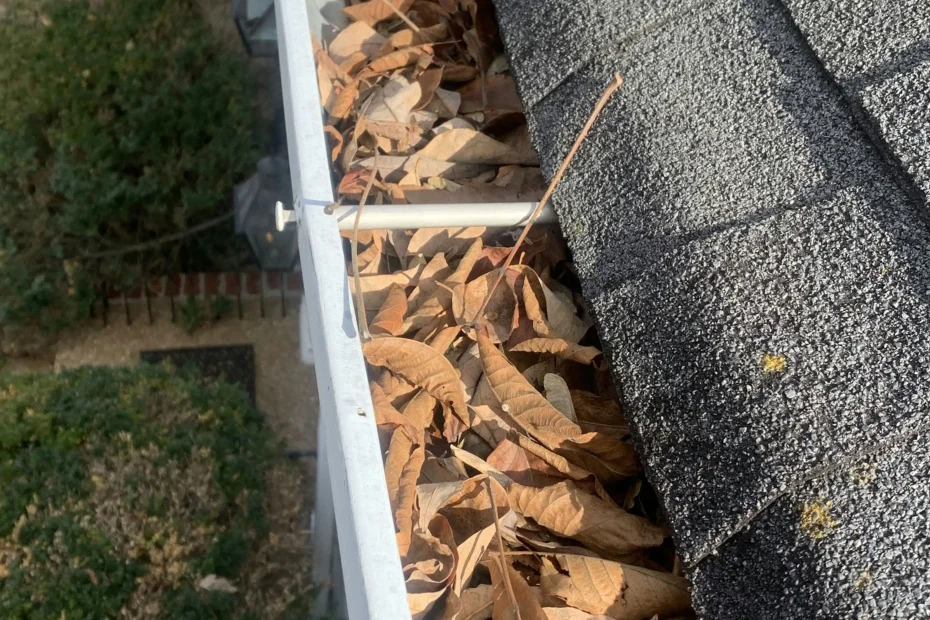 Gutter Cleaning Sanford FL